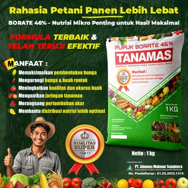 Pupuk Borate 46% Tanamas – Nutrisi Boron Tinggi untuk Mencegah Bunga Rontok & Meningkatkan Hasil Panen
